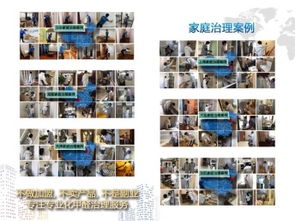 成都甲醛治理與保潔服務選擇指南 如何找到經(jīng)濟實惠的可靠公司