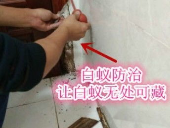 深圳專業(yè)保潔與除蟲服務 工廠、商店、展廳的全方位清潔解決方案